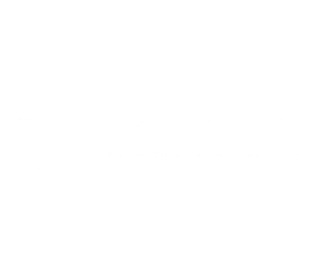 Bricstone